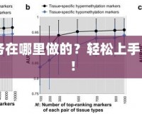 CF新手任務(wù)在哪里做的？輕松上手，快速成長！