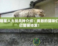 喵星人大戰(zhàn)兵種介紹：勇敢的貓咪們已整裝待發(fā)！