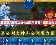 洛克王國魔力貓?jiān)趺催M(jìn)化成武斗酷貓？探索進(jìn)化之路！