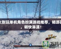 十大耐玩單機(jī)角色扮演游戲推薦，暢游其中，暢快淋漓！