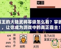 三國志2霸王的大陸武將等級怎么看？掌握這些技巧，讓你成為游戲中的真正霸主！