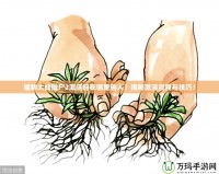 植物大戰(zhàn)僵尸2激活碼在哪里輸入？揭秘激活流程與技巧！