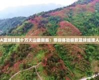 NBA籃球經(jīng)理十萬(wàn)大山最新版：帶你體驗(yàn)極致籃球經(jīng)理人生！