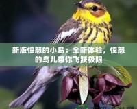新版憤怒的小鳥(niǎo)：全新體驗(yàn)，憤怒的鳥(niǎo)兒帶你飛躍極限