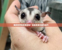 我的世界怎樣養(yǎng)動物？探索養(yǎng)寵樂趣與技巧
