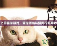 電視上的貓咪游戲，帶你領(lǐng)略與貓同行的奇妙冒險
