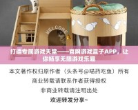打造專屬游戲天堂——官網(wǎng)游戲盒子APP，讓你暢享無(wú)限游戲樂(lè)趣