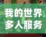 我的世界多人服務(wù)器地址在哪？帶你暢游《我的世界》的奇妙世界