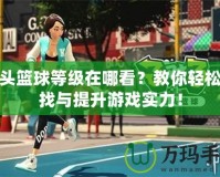 街頭籃球等級在哪看？教你輕松查找與提升游戲?qū)嵙Γ?></a></div>
                        <div   id=
