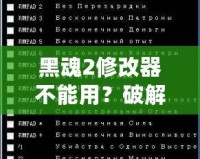 黑魂2修改器不能用？破解之道讓你重拾游戲樂趣！