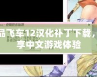 極品飛車12漢化補(bǔ)丁下載，暢享中文游戲體驗(yàn)