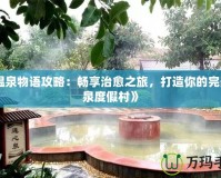《溫泉物語攻略：暢享治愈之旅，打造你的完美溫泉度假村》