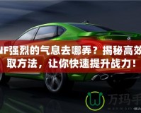 DNF強(qiáng)烈的氣息去哪弄？揭秘高效獲取方法，讓你快速提升戰(zhàn)力！