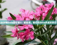 見(jiàn)血封喉Dota回憶錄3：那些年，我們與Dota共成長(zhǎng)的日子
