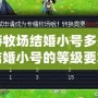 夢幻西游牧場結(jié)婚小號多少級？揭秘成功結(jié)婚小號的等級要求與技巧