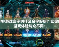 DNF游戲盒子叫什么名字好聽？讓你的游戲體驗與眾不同！