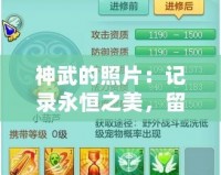 神武的照片：記錄永恒之美，留住瞬間的光輝