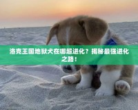 洛克王國地獄犬在哪超進(jìn)化？揭秘最強(qiáng)進(jìn)化之路！
