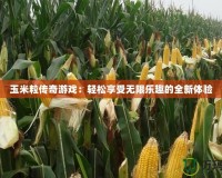 玉米粒傳奇游戲：輕松享受無(wú)限樂(lè)趣的全新體驗(yàn)