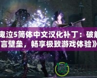 《鬼泣5簡體中文漢化補?。浩平庹Z言壁壘，暢享極致游戲體驗》