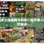 夢(mèng)幻多少級(jí)跑商才劃算？揭開商人致富的秘訣