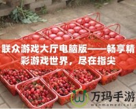 聯(lián)眾游戲大廳電腦版——暢享精彩游戲世界，盡在指尖
