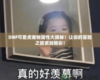 DNF可愛虎寵物屬性大揭秘！讓你的冒險之旅更加精彩！