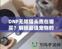 DNF無限貓頭鷹在哪買？解鎖最強寵物的購買途徑與技巧！