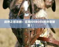 戰(zhàn)神之怒攻略：征服iOSBOSS的終極秘笈！