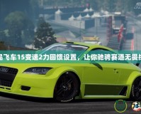 極品飛車15變速2力回饋設(shè)置，讓你馳騁賽道無畏挑戰(zhàn)