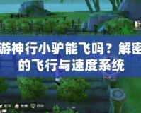 夢幻西游神行小驢能飛嗎？解密游戲中的飛行與速度系統(tǒng)