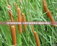 DNF法驅(qū)加點(diǎn)攻略：讓你的法驅(qū)逆襲成為最強(qiáng)輸出職業(yè)！