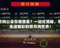 撈月狗公會(huì)在哪里看？一站式揭秘，帶你走進(jìn)精彩的撈月狗世界！