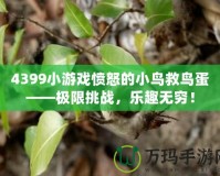 4399小游戲憤怒的小鳥救鳥蛋——極限挑戰(zhàn)，樂趣無窮！