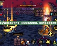 DNF輔助版本使用方法：輕松提升游戲體驗(yàn)，助你在地下城中稱霸！