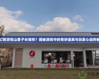 夢幻西游雪山栗子長啥樣？揭秘游戲中的奇妙道具與玩家心動的秘密