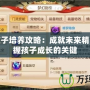 夢(mèng)幻孩子培養(yǎng)攻略：成就未來(lái)精英，掌握孩子成長(zhǎng)的關(guān)鍵