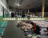 DNF封裝寵物：激發(fā)戰(zhàn)斗力，玩轉寵物新玩法！