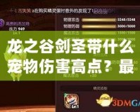 龍之谷劍圣帶什么寵物傷害高點？最強寵物搭配推薦