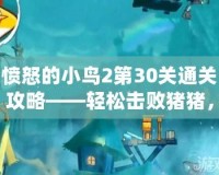 憤怒的小鳥2第30關(guān)通關(guān)攻略——輕松擊敗豬豬，挑戰(zhàn)成功！