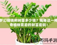 夢幻搖錢樹樹苗多少錢？揭秘這一神奇植物背后的財(cái)富密碼！