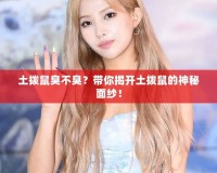 土撥鼠臭不臭？帶你揭開(kāi)土撥鼠的神秘面紗！