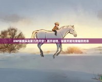 DNF狐貍頭是第幾代天空？揭開(kāi)謎團(tuán)，探索天賦與榮耀的傳承