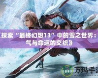 《探索“最終幻想13”中的雪之世界：勇氣與命運的交織》