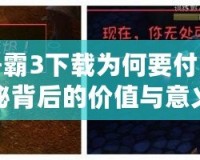 魔獸爭霸3下載為何要付費？揭秘背后的價值與意義