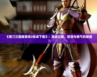 《奧汀三國群英傳2安卓下載》：激戰(zhàn)三國，智慧與勇氣的碰撞！