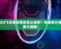QQ飛車紫色等級怎么來的？快速晉升指南大揭秘！