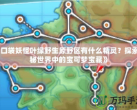 《口袋妖怪葉綠野生原野區(qū)有什么精靈？探索神秘世界中的寶可夢寶藏》