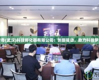 星空傳奇(武漢)科技孵化器有限公司：創(chuàng)新驅(qū)動，助力科技夢想起航
