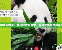 《DNF寵物蛋：開啟冒險新篇章，打造專屬萌寵伴侶！》